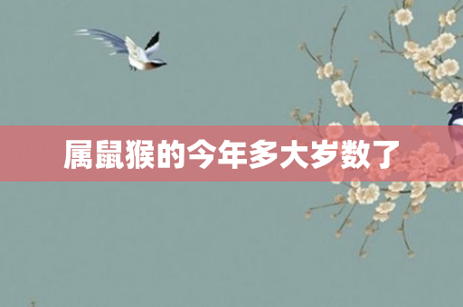 属鼠猴的今年多大岁数了