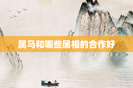 属马和哪些属相的合作好
