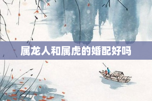 属龙人和属虎的婚配好吗