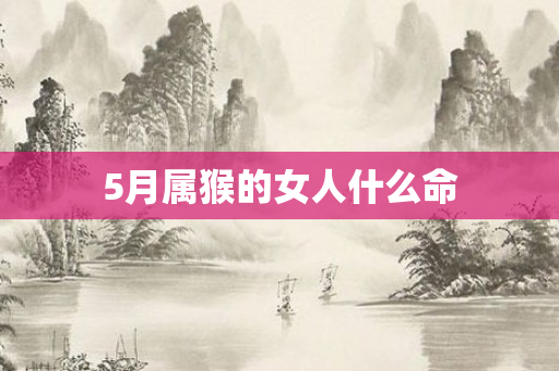 5月属猴的女人什么命