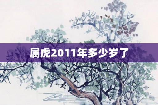 属虎2011年多少岁了