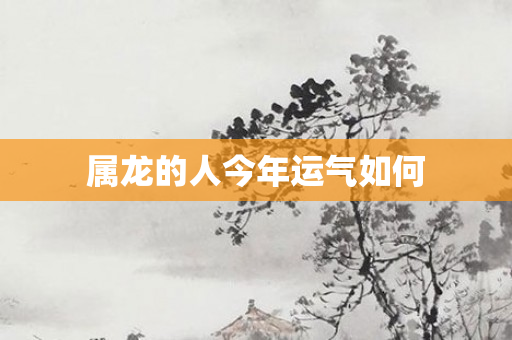属龙的人今年运气如何