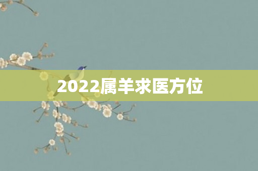 2022属羊求医方位