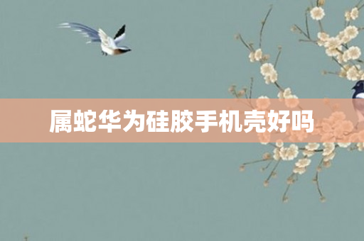 属蛇华为硅胶手机壳好吗
