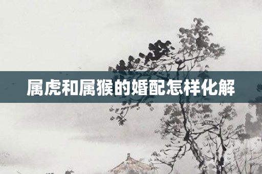 属虎和属猴的婚配怎样化解