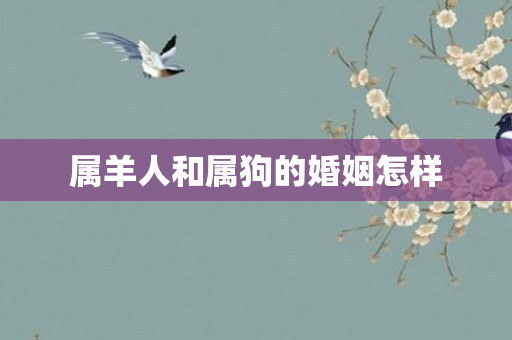 属羊人和属狗的婚姻怎样