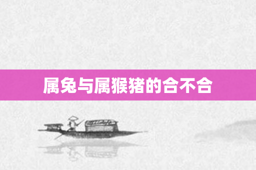 属兔与属猴猪的合不合