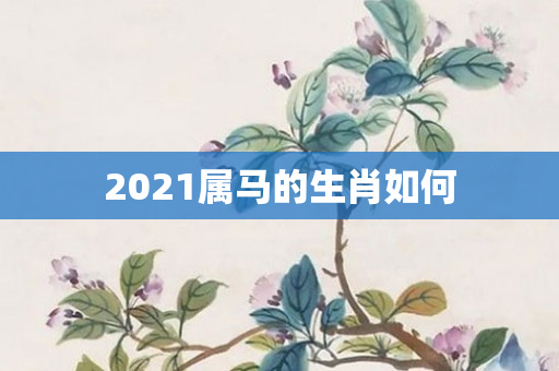2021属马的生肖如何