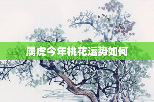 属虎今年桃花运势如何