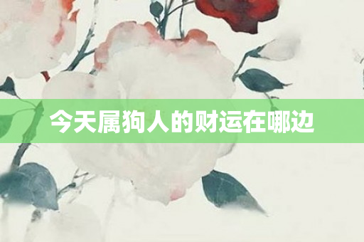 今天属狗人的财运在哪边