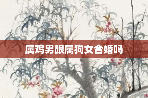 属鸡男跟属狗女合婚吗