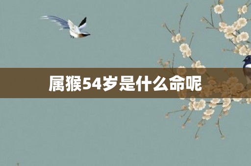 属猴54岁是什么命呢
