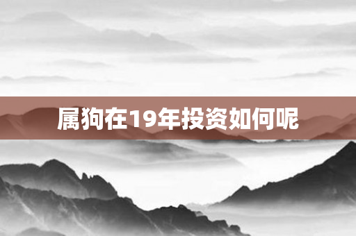 属狗在19年投资如何呢