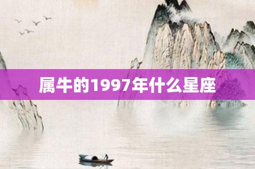 属牛的1997年什么星座