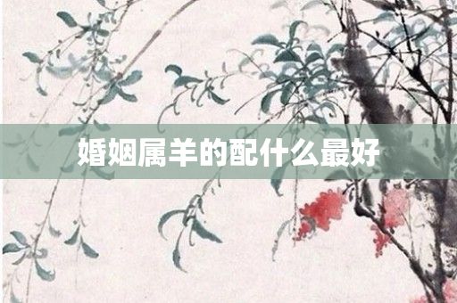婚姻属羊的配什么更好