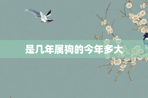 是几年属狗的今年多大