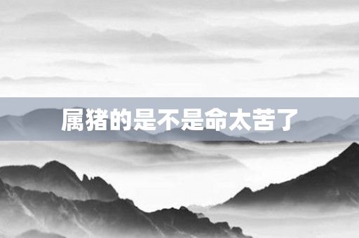 属猪的是不是命太苦了
