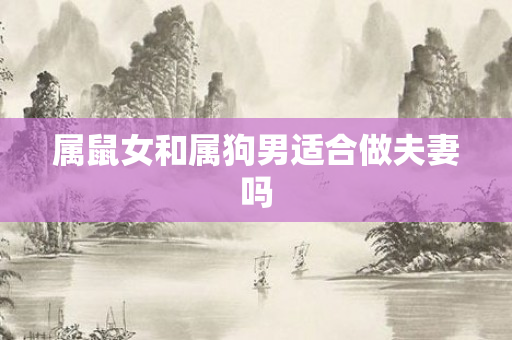 属鼠女和属狗男适合做夫妻吗