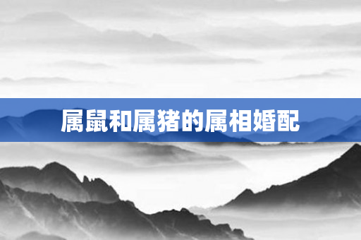 属鼠和属猪的属相婚配