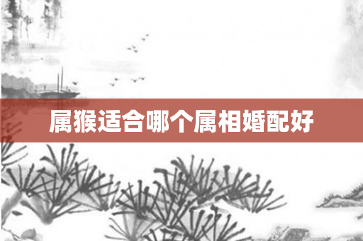 属猴适合哪个属相婚配好