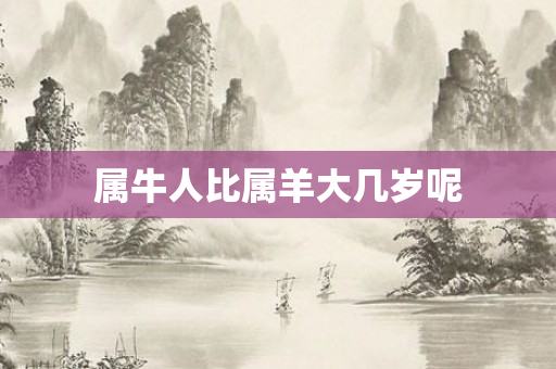 属牛人比属羊大几岁呢