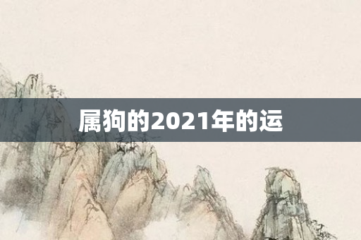 属狗的2021年的运