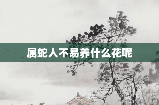 属蛇人不易养什么花呢