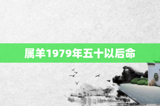 属羊1979年五十以后命