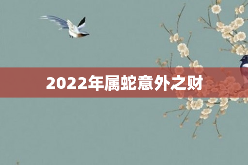 2022年属蛇意外之财