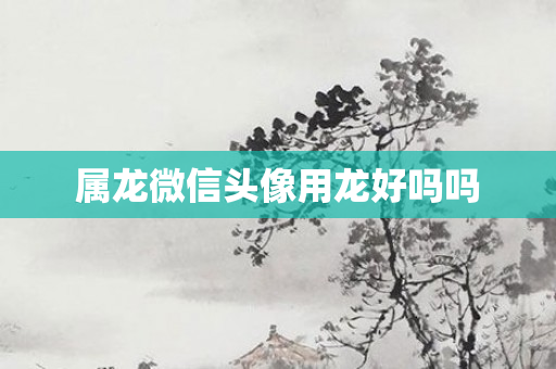 属龙微信头像用龙好吗吗
