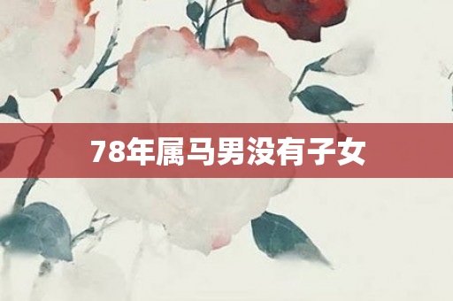 78年属马男没有子女