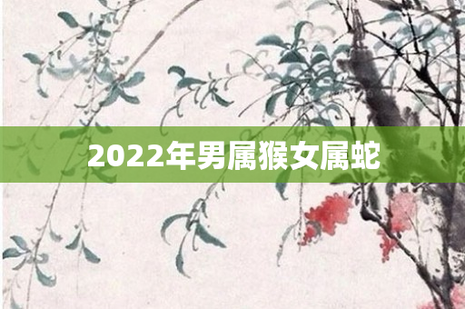 2022年男属猴女属蛇