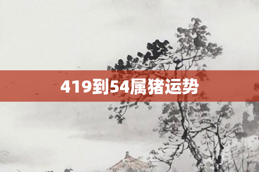 419到54属猪运势