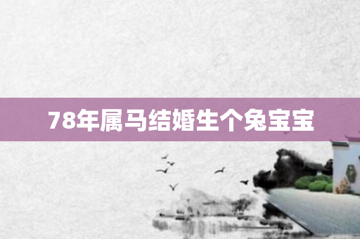 78年属马结婚生个兔宝宝