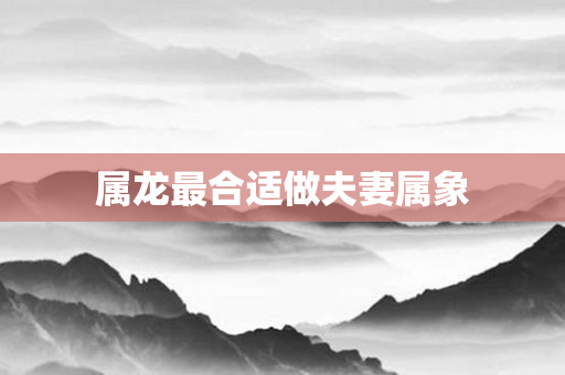 属龙最合适做夫妻属象