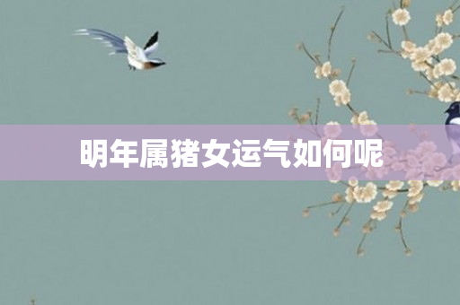 明年属猪女运气如何呢