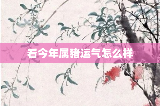 看今年属猪运气怎么样