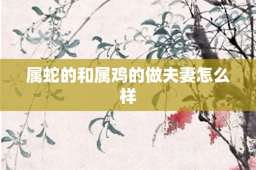 属蛇的和属鸡的做夫妻怎么样