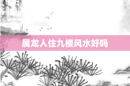 属龙人住九楼风水好吗