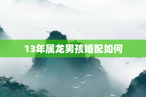 13年属龙男孩婚配如何