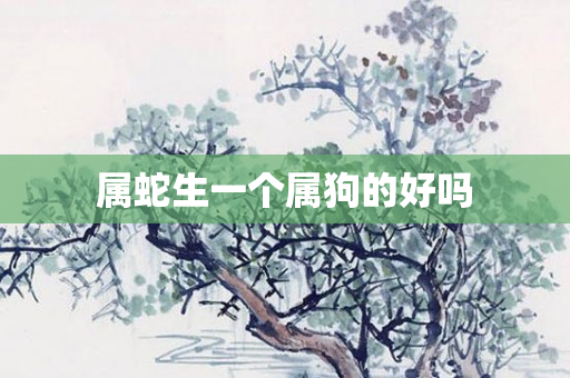 属蛇生一个属狗的好吗