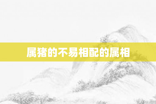属猪的不易相配的属相