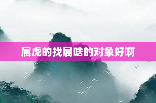 属虎的找属啥的对象好啊
