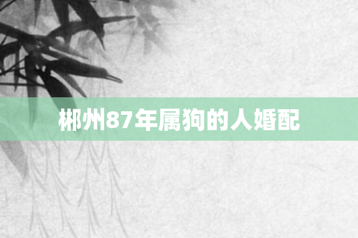 郴州87年属狗的人婚配