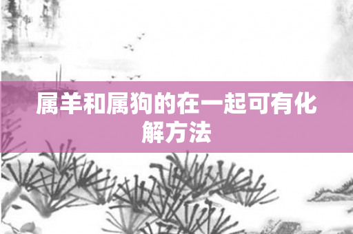属羊和属狗的在一起可有化解 *** 