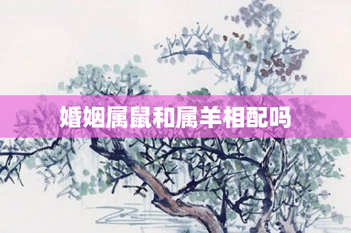 婚姻属鼠和属羊相配吗
