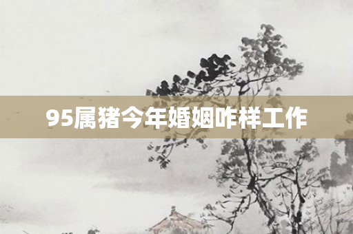 95属猪今年婚姻咋样工作