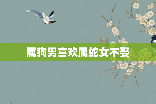 属狗男喜欢属蛇女不娶