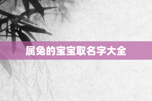 属兔的宝宝取名字大全