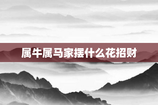 属牛属马家摆什么花招财